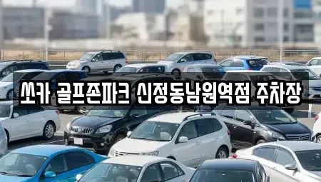 전북특별자치도 남원시 주생면 렌트카 전문 쏘카 골프존파크 신정동남원역점 주차장
