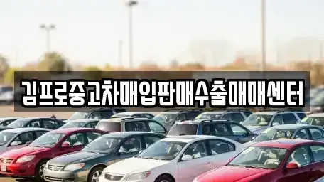 전북특별자치도 익산시 주현동 중고차매매 전문 김프로중고차매입판매수출매매센터