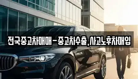전북특별자치도 전주시 완산구 효자동1가 중고차매매 전문 전국중고차매매-중고차수출,사고노후차매입