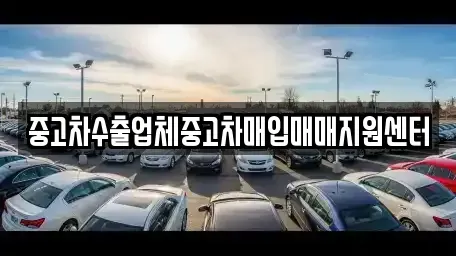 전북특별자치도 전주시 완산구 효자동1가 중고차매매 전문 중고차수출업체중고차매입매매지원센터
