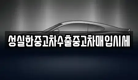 전북특별자치도 전주시 완산구 효자동1가 중고차매입 전문 성실한중고차수출중고차매입시세