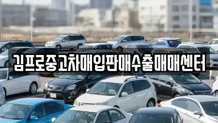 제주특별자치도 서귀포시 하원동 중고차 전문 김프로중고차매입판매수출매매센터