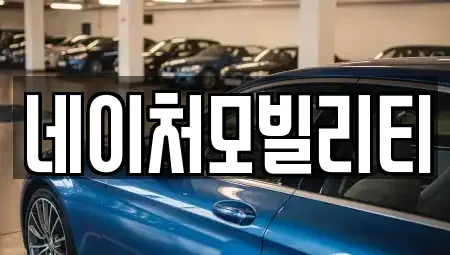 제주특별자치도 제주시 아라일동 렌트카 전문 네이처모빌리티