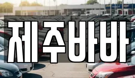 제주특별자치도 제주시 아라일동 렌트카 전문 제주바바