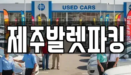 제주특별자치도 제주시 아라일동 렌트카 전문 제주발렛파킹