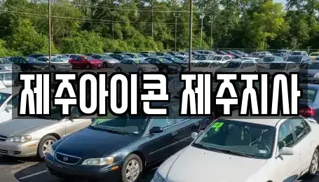 제주특별자치도 제주시 아라일동 렌트카 전문 제주아이콘 제주지사