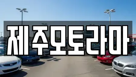 제주특별자치도 제주시 아라일동 중고차 전문 제주모토라마