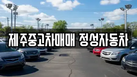 제주특별자치도 제주시 아라일동 중고차 전문 제주중고차매매 정성자동차