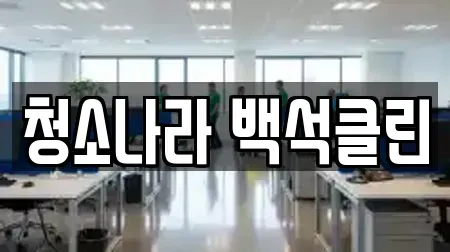 청소나라 백석클린