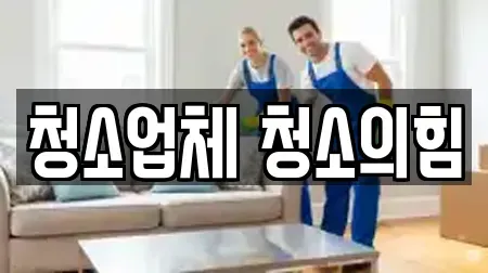 청소업체 청소의힘