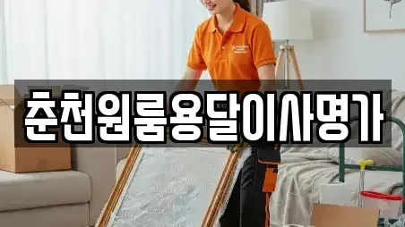 용달이사전문 강원 화천군 상서면 우리동네 5곳