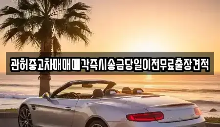 충남 당진시 정미면 중고차 전문 관허중고차매매매각즉시송금당일이전무료출장견적