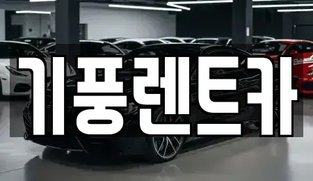 충남 부여군 부여읍 렌트카 전문 기풍렌트카