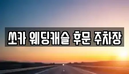 충남 부여군 부여읍 렌트카 전문 쏘카 웨딩캐슬 후문 주차장