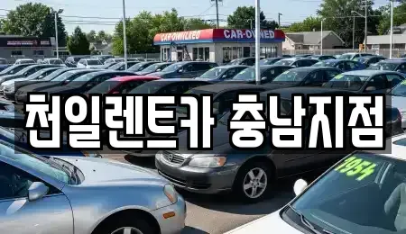 충남 부여군 부여읍 렌트카 전문 천일렌트카 충남지점