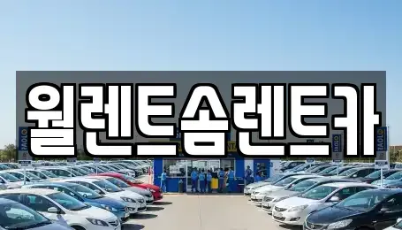 충남 천안시 동남구 광덕면 렌트카 전문 월렌트솜렌트카