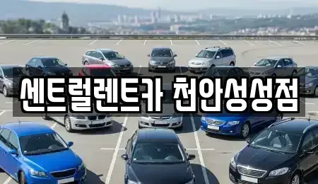 충남 천안시 서북구 차암동 렌트카 전문 센트럴렌트카 천안성성점