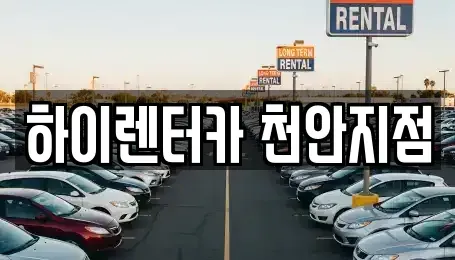 충남 천안시 서북구 차암동 렌트카 전문 하이렌터카 천안지점