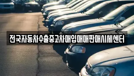 충북 제천시 강제동 중고차매입 전문 전국자동차수출중고차매입매매판매시세센터