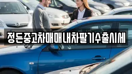 충북 청주시 상당구 문화동 중고차매매 전문 정든중고차매매내차팔기수출시세