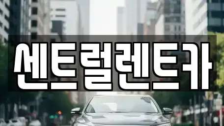 충북 청주시 상당구 서운동 렌트카 전문 센트럴렌트카