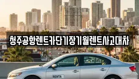 충북 청주시 상당구 서운동 렌트카 전문 청주공항렌트카단기장기월렌트사고대차