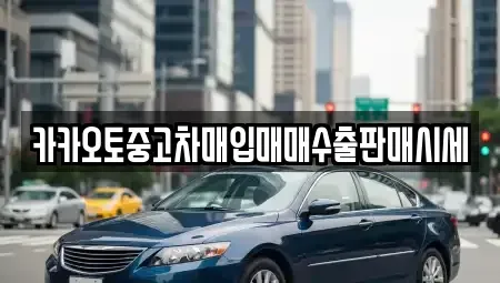 충북 청주시 상당구 서운동 중고차 전문 카카오토중고차매입매매수출판매시세