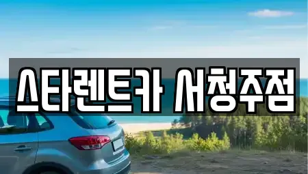 충북 청주시 청원구 정북동 렌트카 전문 스타렌트카 서청주점