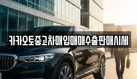 충북 청주시 청원구 정북동 중고차 전문 카카오토중고차매입매매수출판매시세