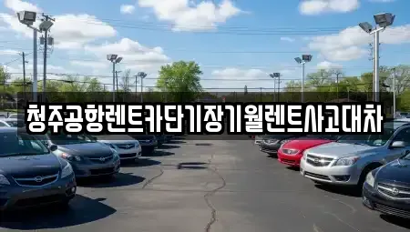 충북 청주시 흥덕구 신대동 렌트카,단기렌트카,장기렌트카,중고차,중고차매매,중고차매입