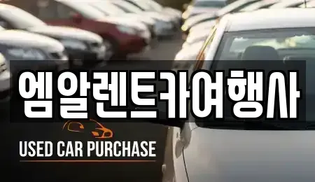 충청남도 공주시 월미동 렌트카 전문 엠알렌트카여행사