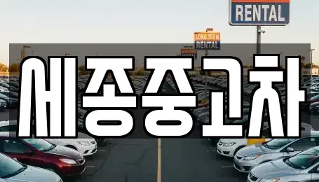 충청남도 공주시 월미동 중고차 전문 세종중고차