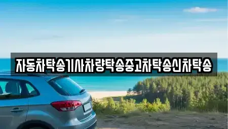 충청남도 공주시 주미동 중고차 전문 자동차탁송기사차량탁송중고차탁송신차탁송