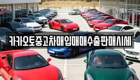 충청남도 공주시 주미동 중고차 전문 카카오토중고차매입매매수출판매시세