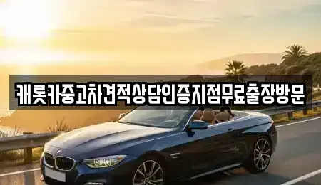 충청남도 공주시 주미동 중고차 전문 캐롯카중고차견적상담인증지점무료출장방문