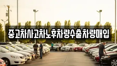 충청남도 당진시 대덕동 중고차 전문 중고차사고차노후차량수출차량매입