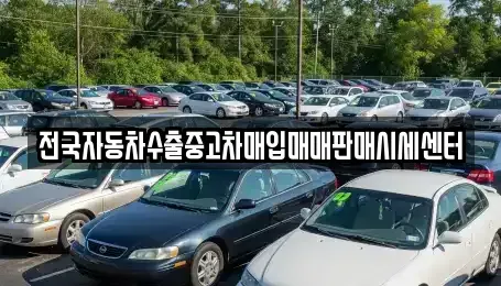 충청남도 당진시 대덕동 중고차매매 전문 전국자동차수출중고차매입매매판매시세센터