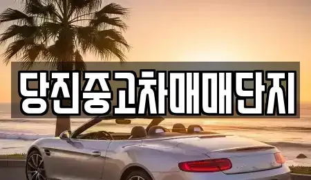 충청남도 당진시 채운동 중고차 전문 당진중고차매매단지