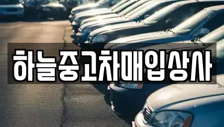 충청남도 당진시 채운동 중고차매입 전문 하늘중고차매입상사