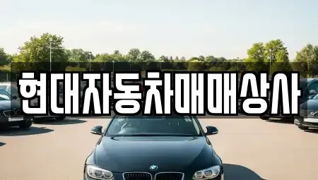 충청남도 서산시 음암면 중고차 전문 현대자동차매매상사