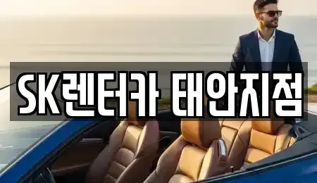 충청남도 서산시 팔봉면 렌트카,단기렌트카,장기렌트카,중고차,중고차매매,중고차매입