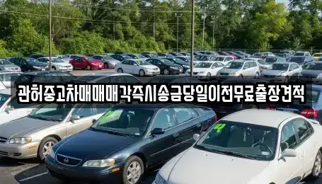 충청남도 서산시 팔봉면 중고차 전문 관허중고차매매매각즉시송금당일이전무료출장견적