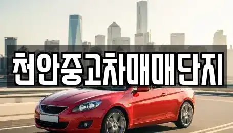 충청남도 천안시 동남구 쌍용동 중고차 전문 천안중고차매매단지