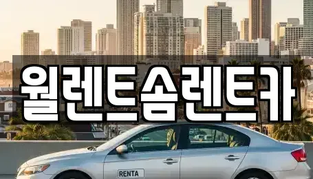 충청남도 천안시 동남구 풍세면 렌트카 전문 월렌트솜렌트카