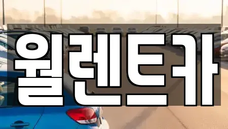 충청남도 천안시 동남구 풍세면 렌트카 전문 월렌트카
