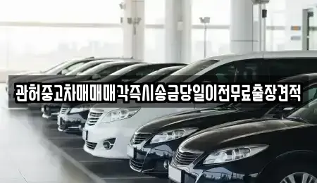 충청남도 천안시 동남구 풍세면 장기렌트카,중고차,렌트카,단기렌트카,중고차매입,중고차매매