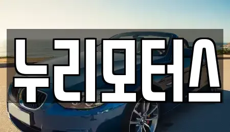 충청남도 천안시 동남구 풍세면 중고차 전문 누리모터스
