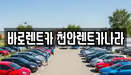 충청남도 천안시 서북구 성거읍 렌트카 전문 바로렌트카 천안렌트카나라
