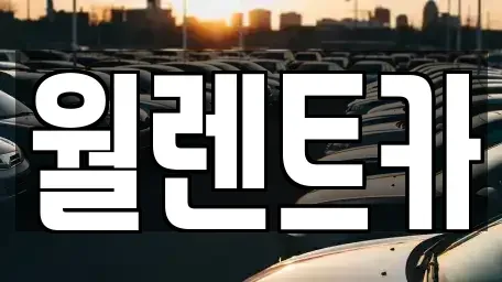 충청남도 천안시 서북구 성거읍 렌트카 전문 월렌트카
