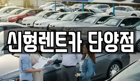 충청북도 단양군 단양읍 렌트카 전문 신형렌트카 단양점